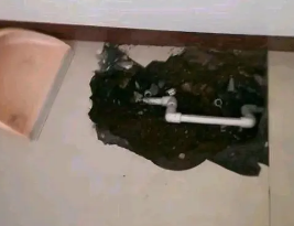 宝鸡市卫生间测漏水多少钱